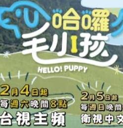 哈啰！毛小孩(全集)