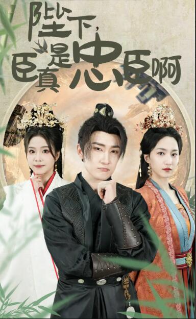 陛下，臣真是忠臣啊(全集)