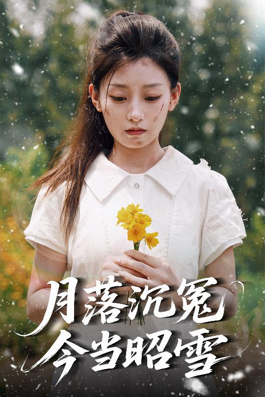 月落沉冤今當(dāng)昭雪(全集)