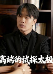 高端的試探太極(全集)