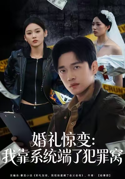 婚禮驚變：我靠系統端了犯罪窩(全集)