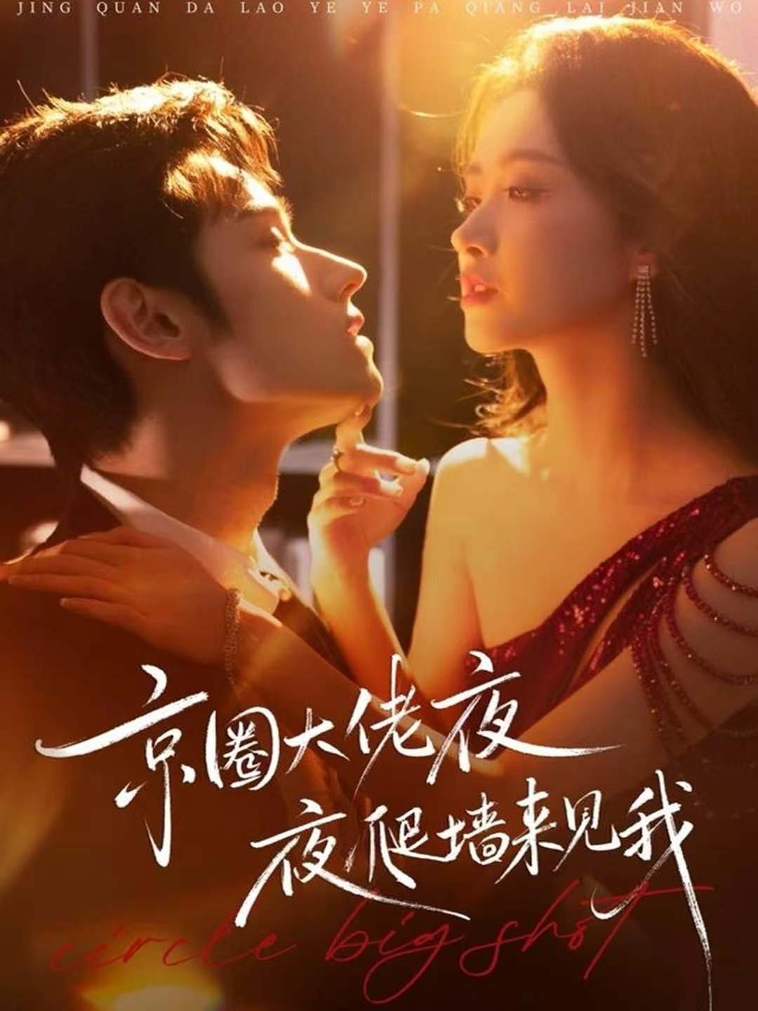 京圈大佬夜夜爬墻來見我(全集)