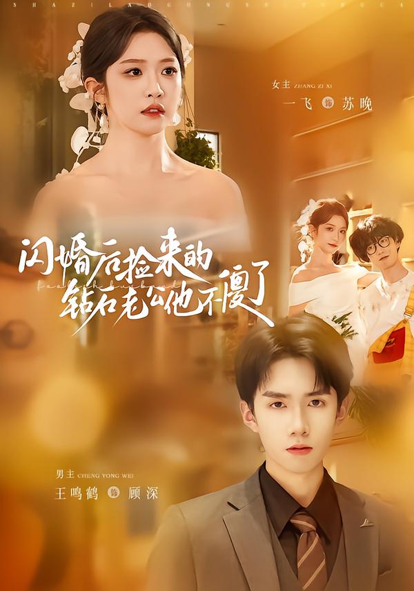 閃婚后撿來的鉆石老公他不傻了(全集)