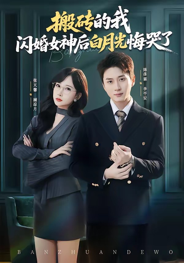 搬磚的我，閃婚女神后白月光悔哭了(全集)