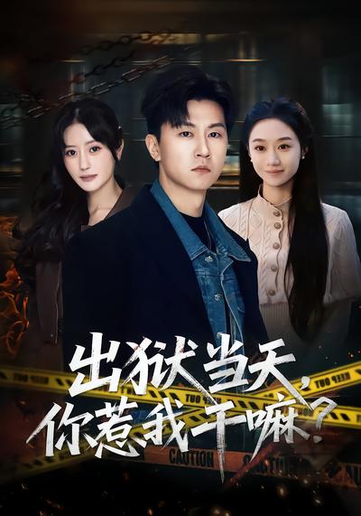 出獄當天，你惹我干嘛？(全集)