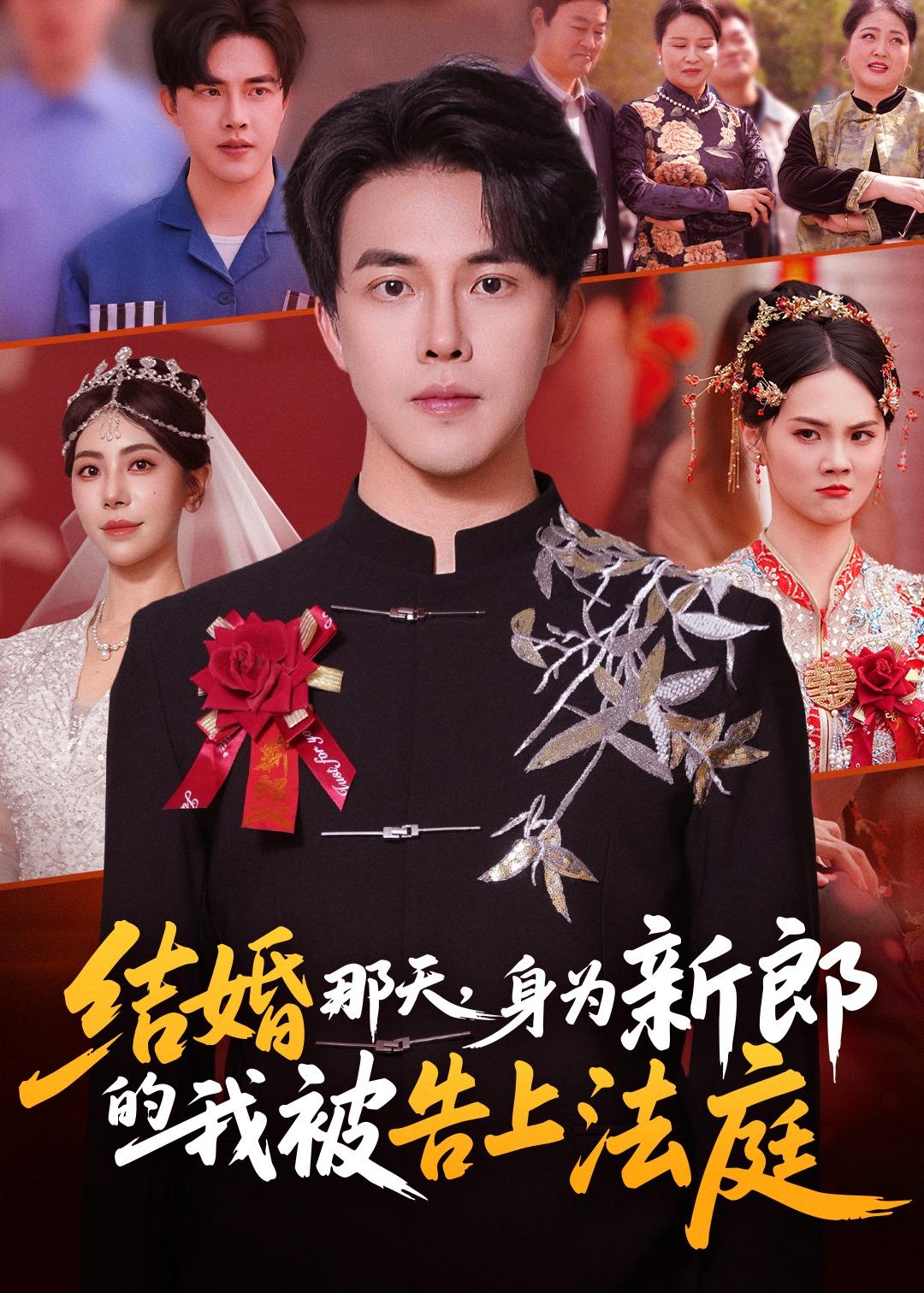 結婚那天，身為新郎的我被告上法庭(全集)