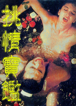 素女經之挑情寶鑒