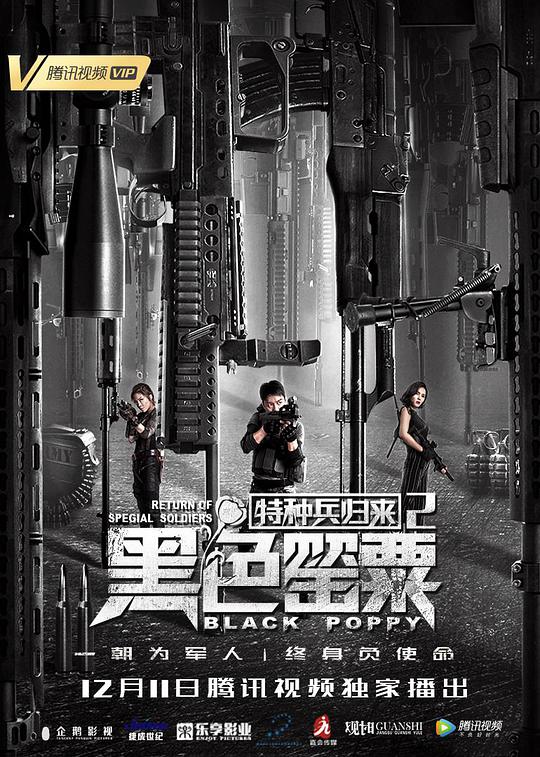 特種兵歸來(lái)2：黑色罌粟(全集)
