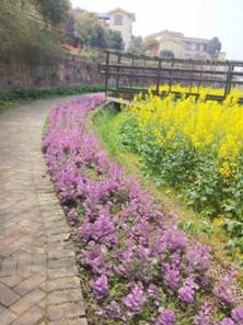 1554275704139031.jpg http://m.qpic.cn/psb?/89ea5bb0-ce2d-45ff-b7ea-18fb208e1381/gVCVbHyNrs6sxxZaanAsDMS0PP7n2b28hEz49c4.zR8!/b/dL8AAAAAAAAA&bo=OASgBQAAAAARB6k!&rf=viewer_4